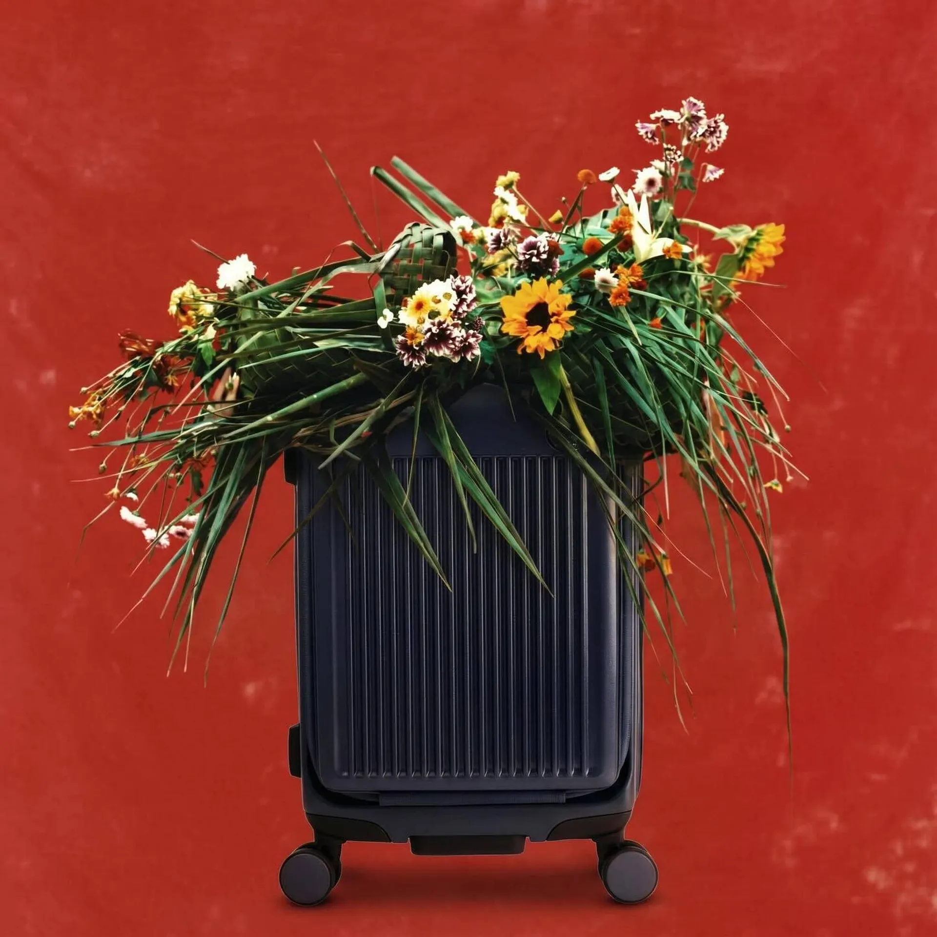 Encarte de Catálogo Le Postiche 17 de abril até 30 de abril 2026 - Pagina 1