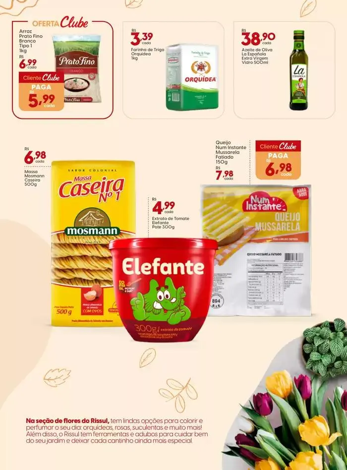 Encarte de Conheça o Novo Rissul Novo Hamburgo 23 de janeiro até 29 de janeiro 2025 - Pagina 4