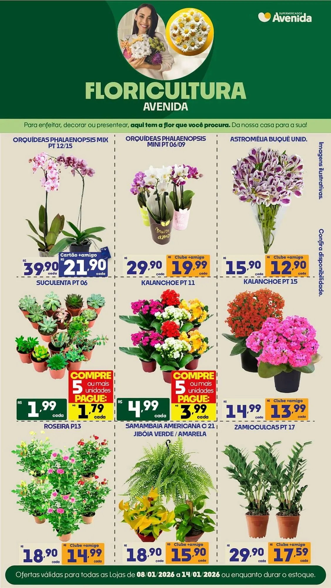 Encarte de Catálogo Supermercados Avenida 8 de janeiro até 14 de janeiro 2026 - Pagina 1