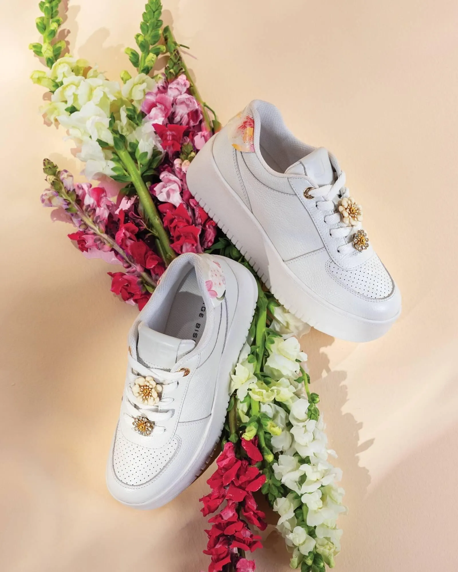 Catálogo Jorge Bischoff - 1