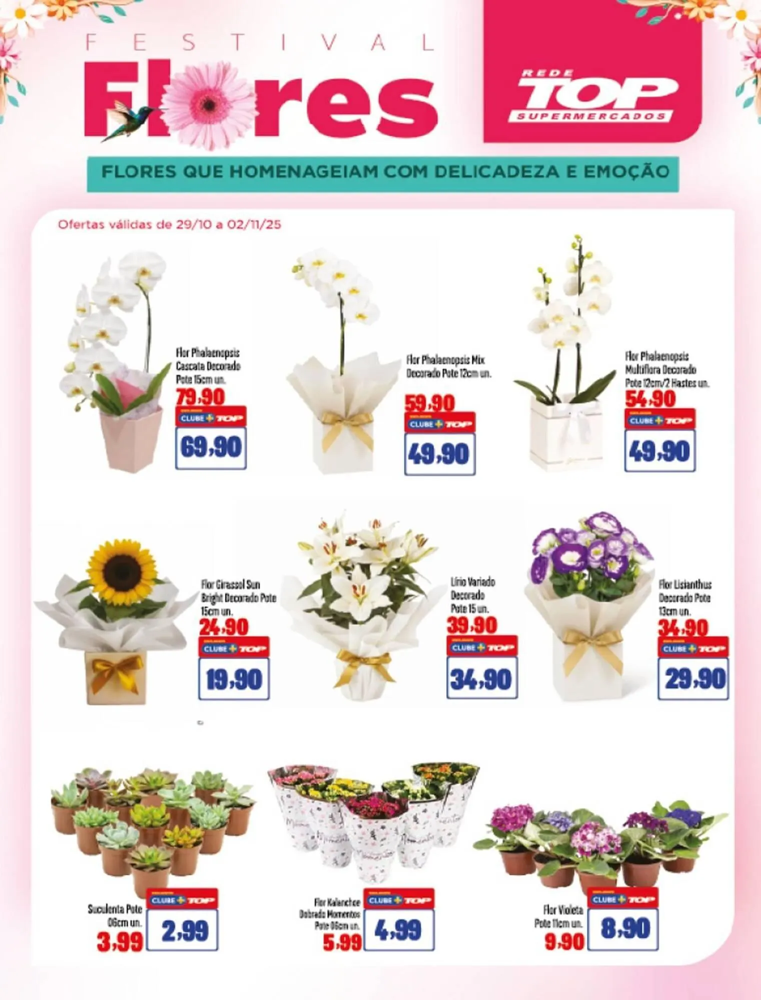 Encarte Rede Top - 1