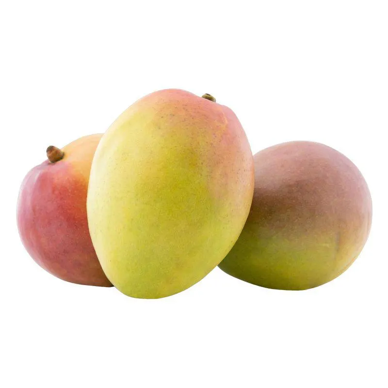 Manga Tommy Atkins 1 Unidade Aprox. 600g