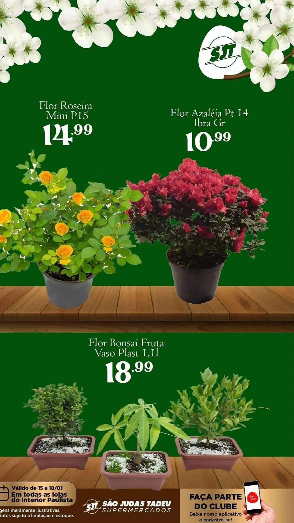 Encarte de Folheto São Judas Tadeu 15 de janeiro até 18 de janeiro 2026 - Pagina 2