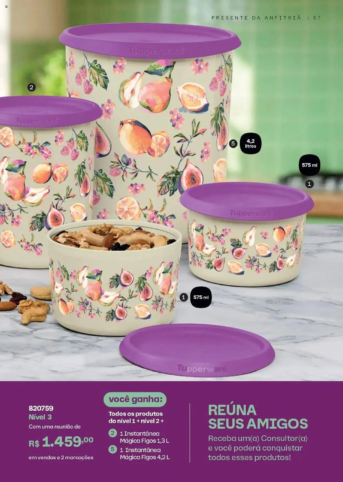 Encarte de Catálogo Tupperware 16 de junho até 14 de agosto 2025 - Pagina 57