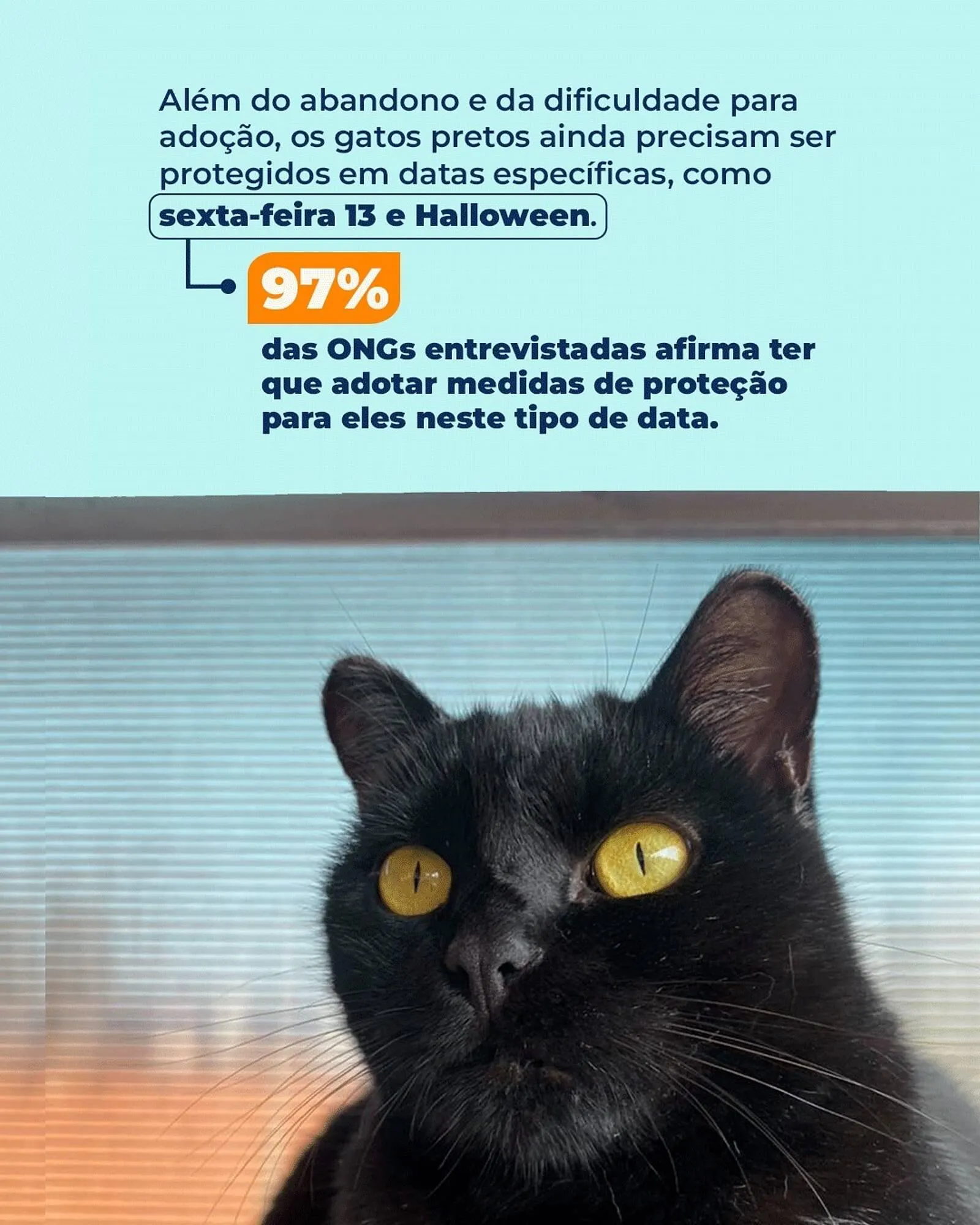 Encarte de Catálogo Cobasi 13 de março até 20 de março 2026 - Pagina 3