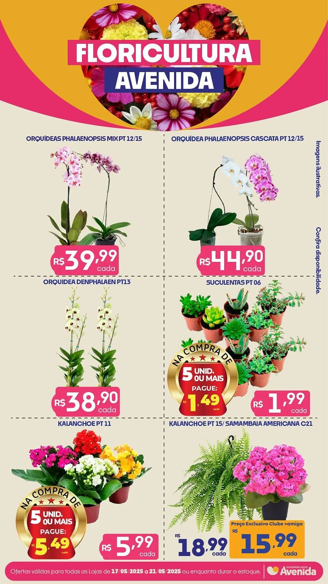 Encarte de Catálogo Supermercados Avenida 19 de maio até 23 de maio 2025 - Pagina 8