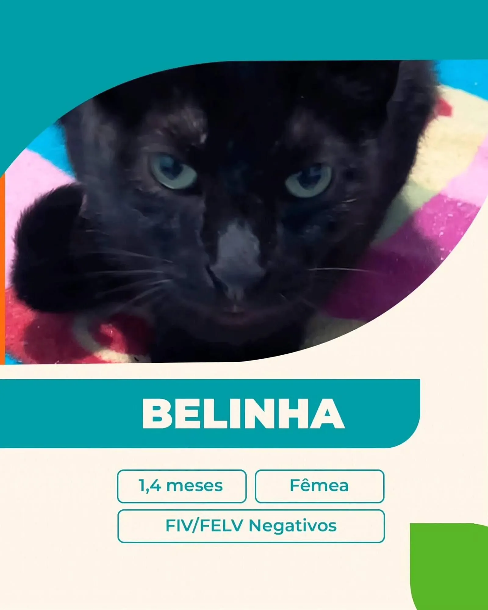 Encarte de Catálogo Cobasi 27 de outubro até 31 de outubro 2025 - Pagina 5