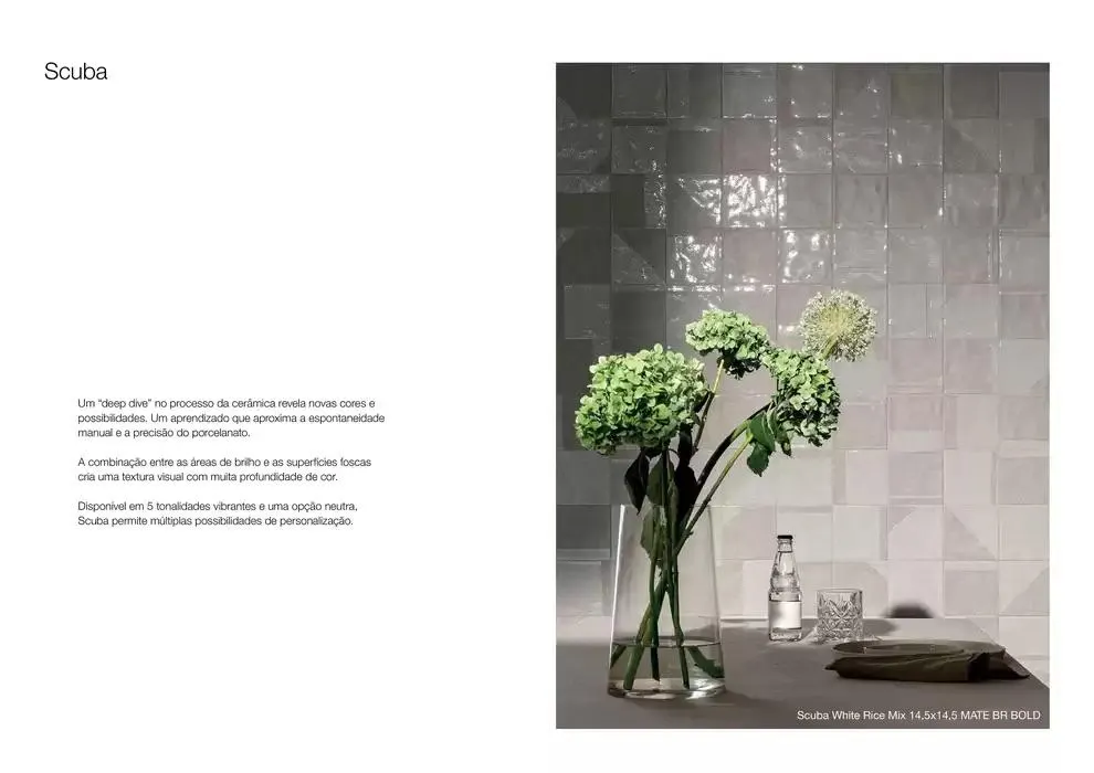 Encarte de SCUBA 17 de março até 31 de dezembro 2025 - Pagina 2