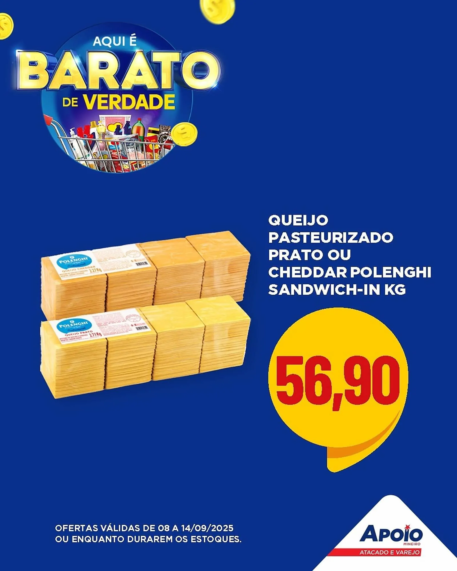 Encarte de Folheto Apoio Mineiro 8 de setembro até 14 de setembro 2025 - Pagina 5