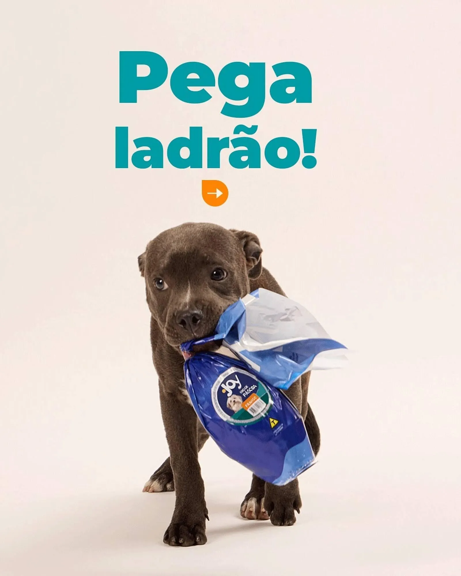 Encarte de Catálogo Cobasi 19 de março até 20 de março 2026 - Pagina 1