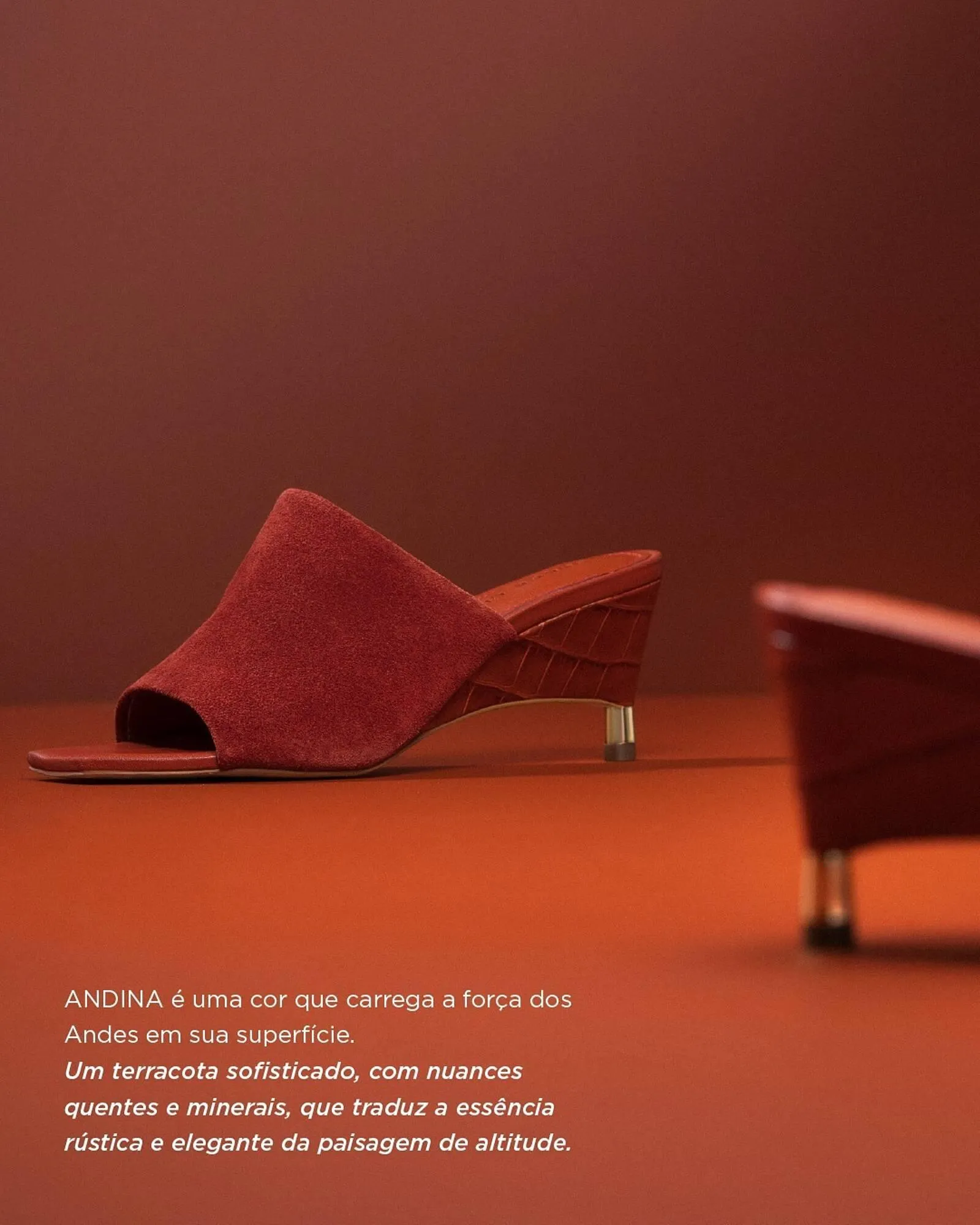 Encarte de Catálogo Jorge Bischoff 6 de janeiro até 10 de janeiro 2026 - Pagina 2