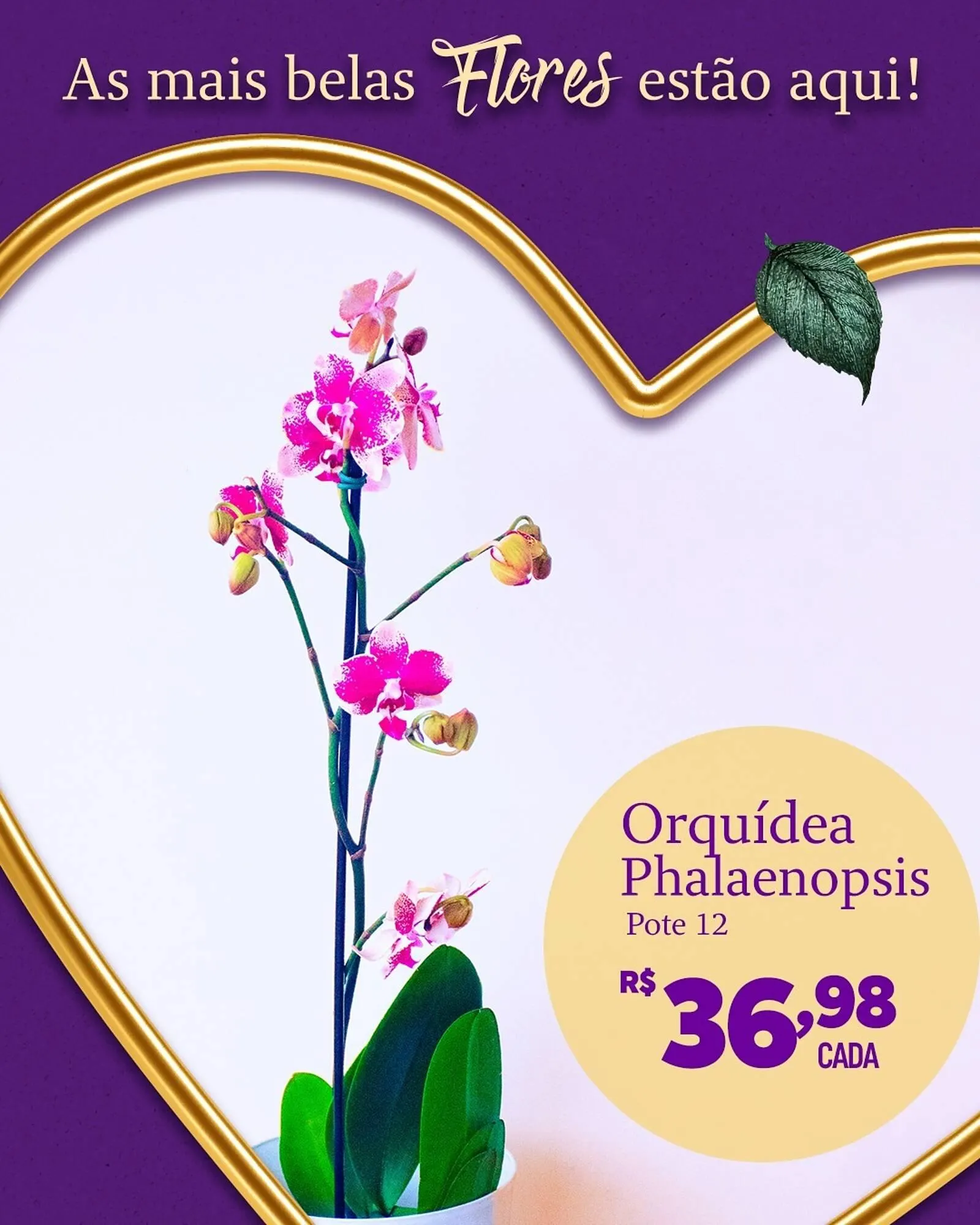 Encarte de Catálogo Muffato 4 de maio até 11 de maio 2025 - Pagina 5