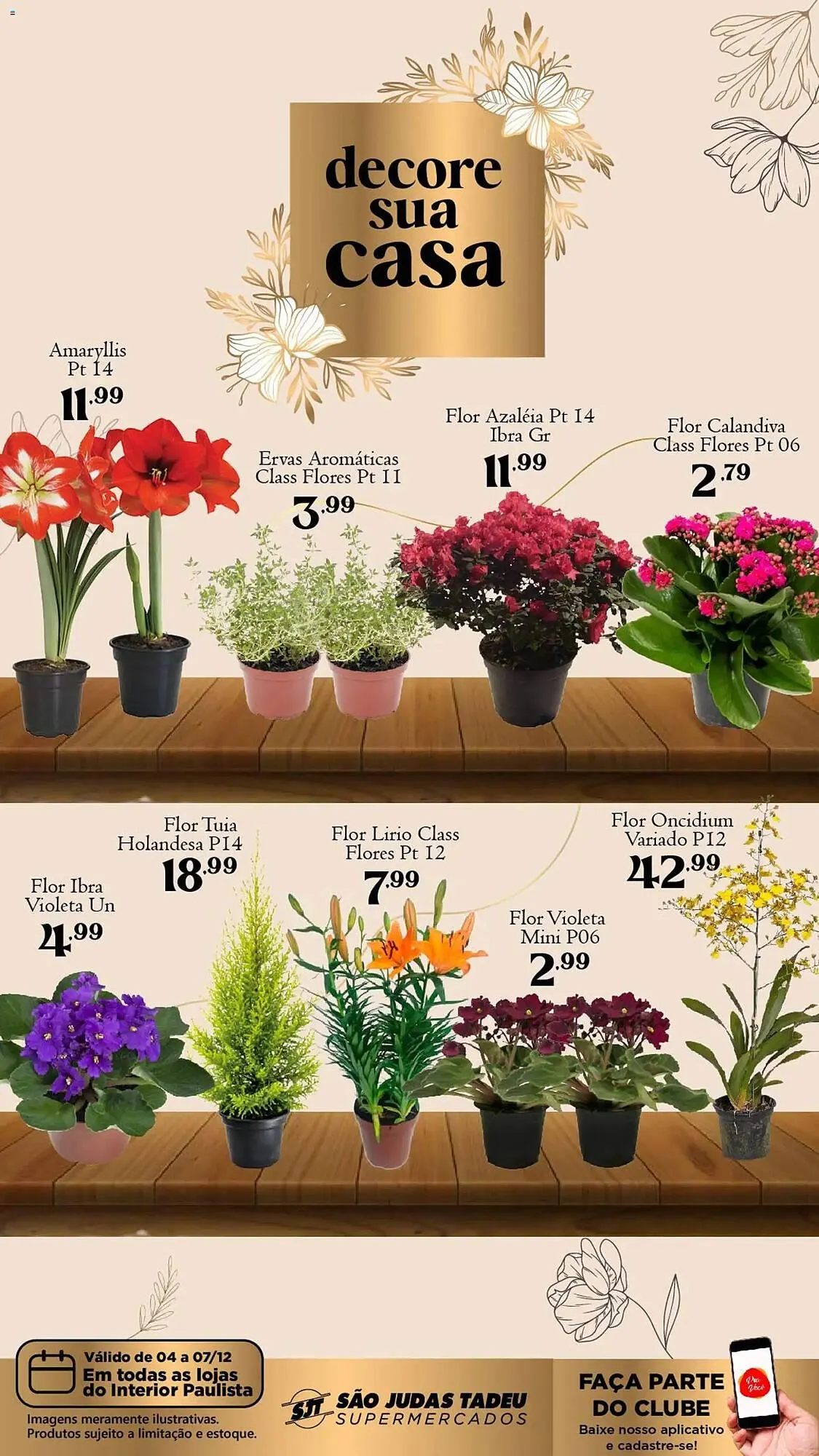 Encarte de Folheto São Judas Tadeu 4 de dezembro até 7 de dezembro 2025 - Pagina 1