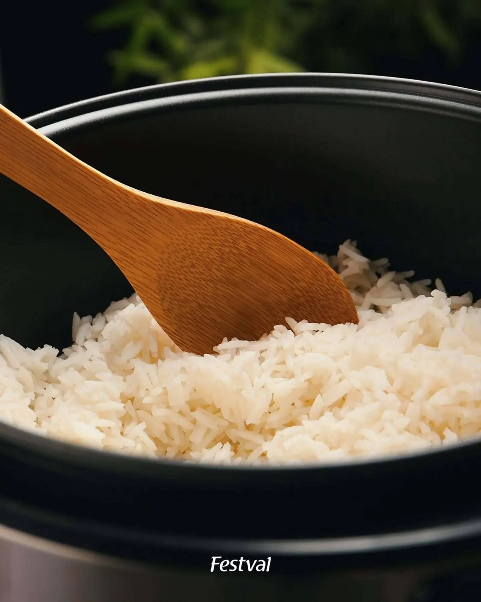 Encarte de Encarte Festval 9 de abril até 9 de abril 2026 - Pagina 1