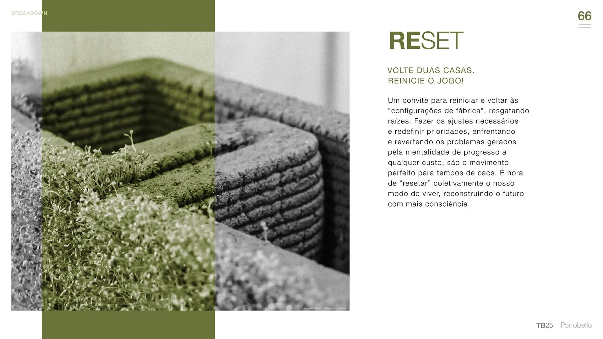 Encarte de Catálogo Portobello 31 de janeiro até 31 de dezembro 2025 - Pagina 66