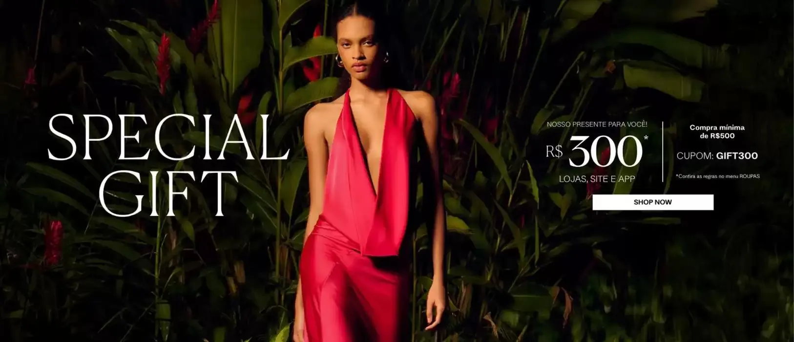 Encarte de Special Gift 17 de dezembro até 17 de janeiro 2025 - Pagina 1