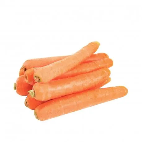 Καρότα Ελλάδος