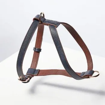 Dog Harness - Navy