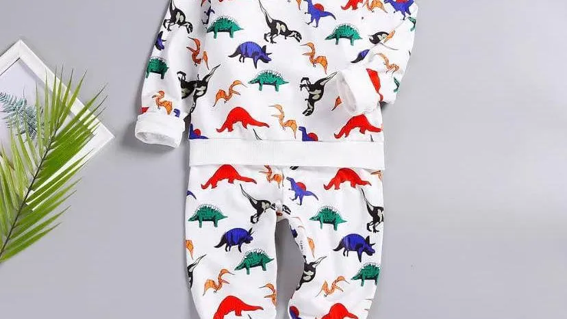 Boy 2pcs Dinosaur Print Top and Pants set