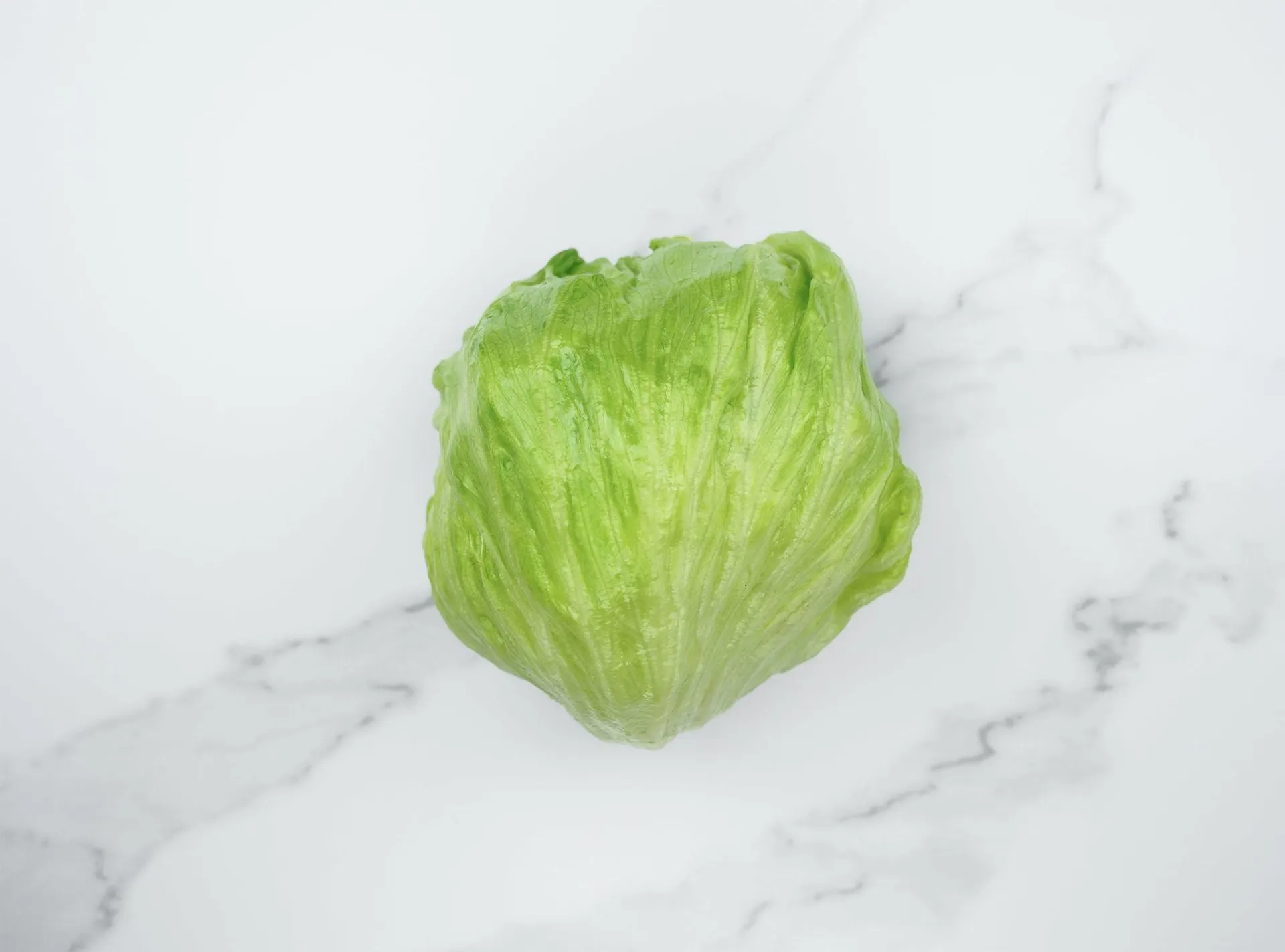 Iceberg Lettuce