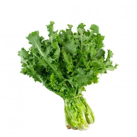 Χόρτα αντίδια Ελλάδος