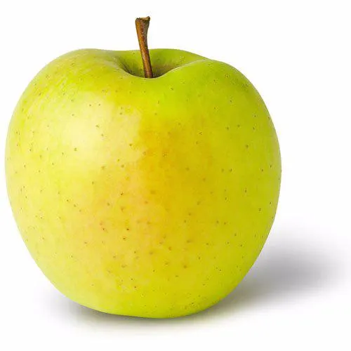 Apples "Golden Delicious" on dwarfing rootstock