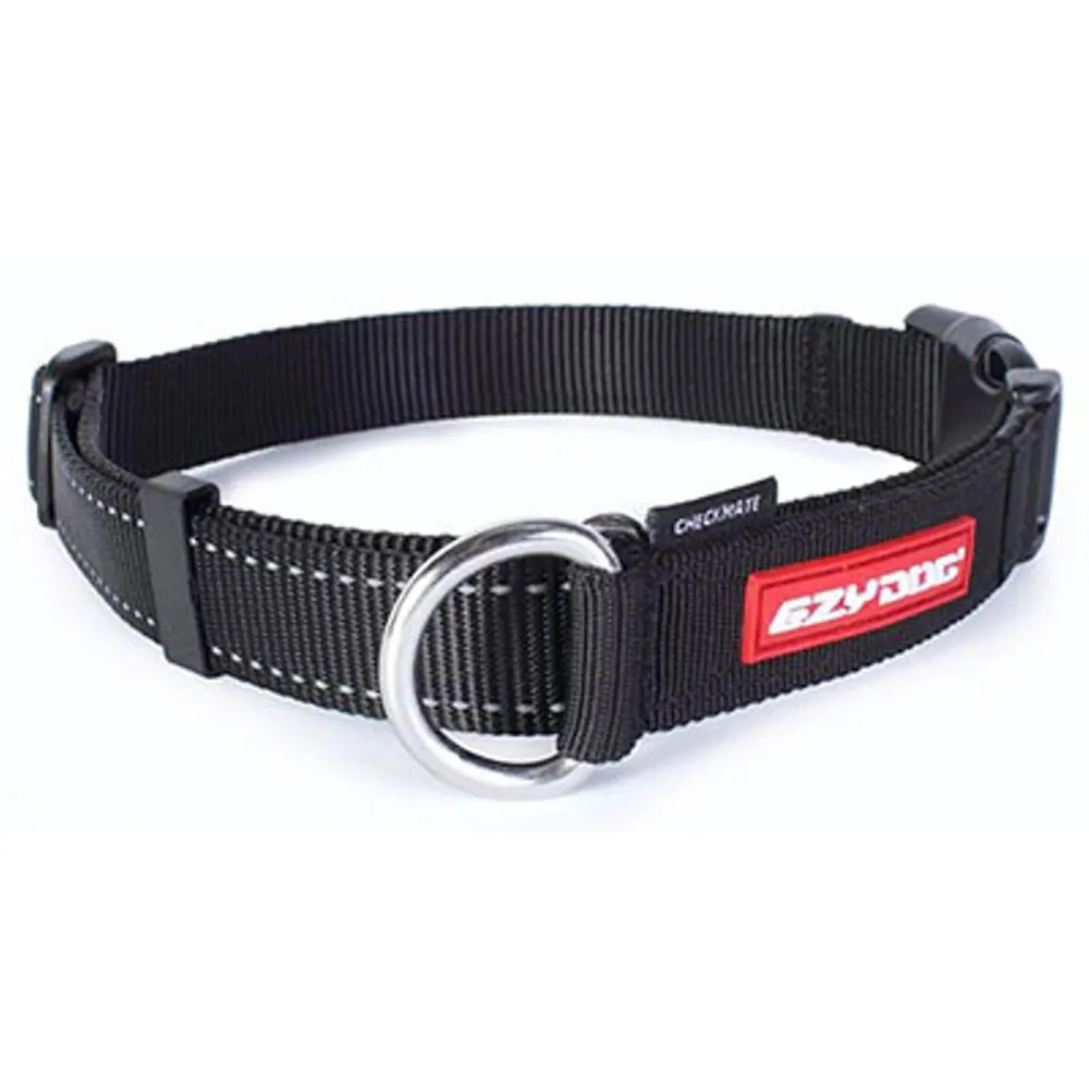 EzyDog Checkmate Collar