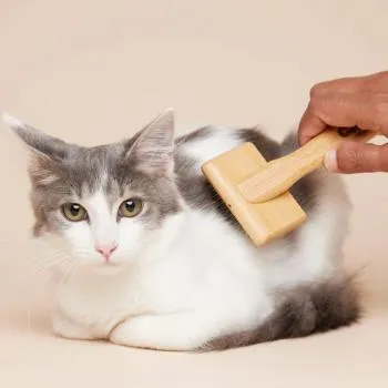 Cat Slicker Brush