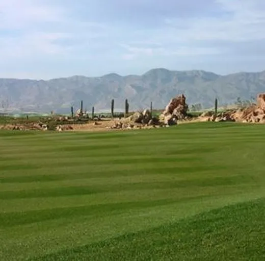 Cesped Bajo Mantenimiento sahara de Zulueta
