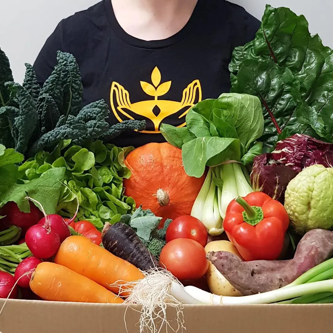 $100 Fruit & Vege Box
