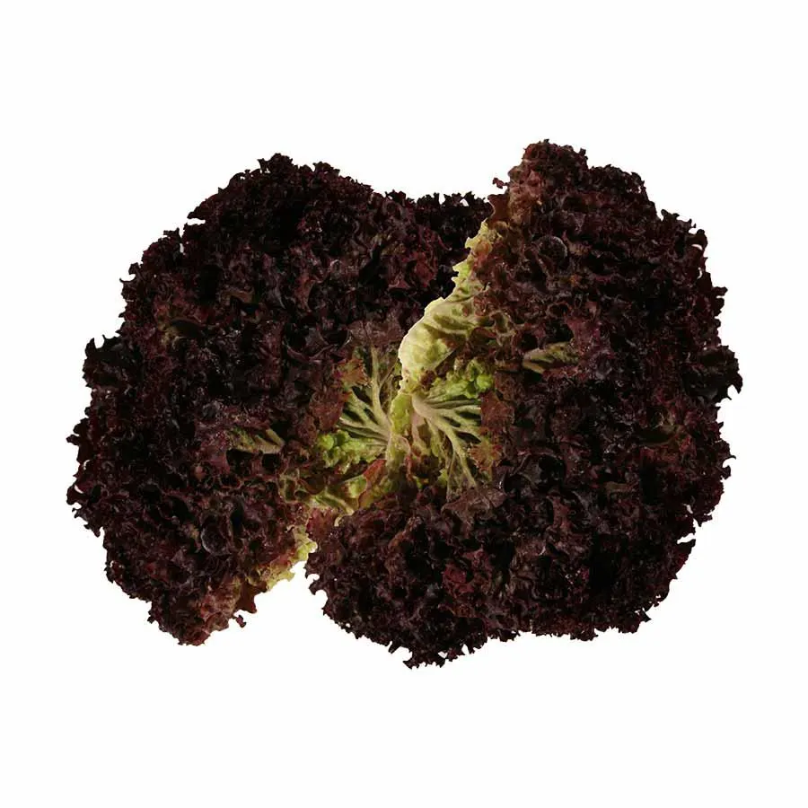 Σαλάτα Lolo Roso Ελληνική Α΄ Ποιότητα