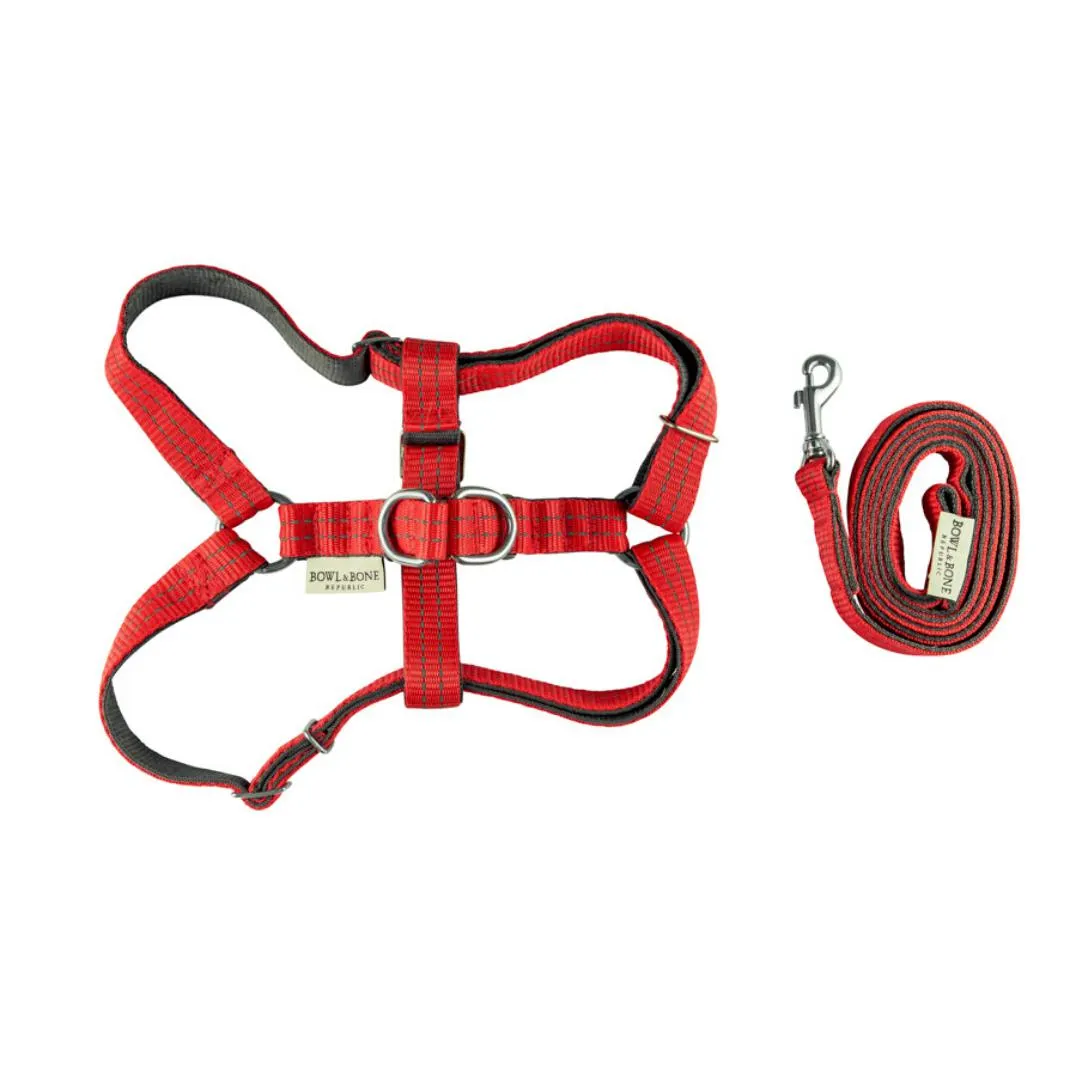 Dog Harness Active With Lead - Red