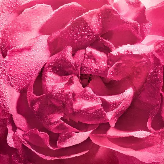 L’infiniment personnel