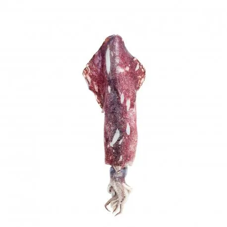 Καλαμάρι νωπό χύμα - loligo vulgaris Ελλάδος