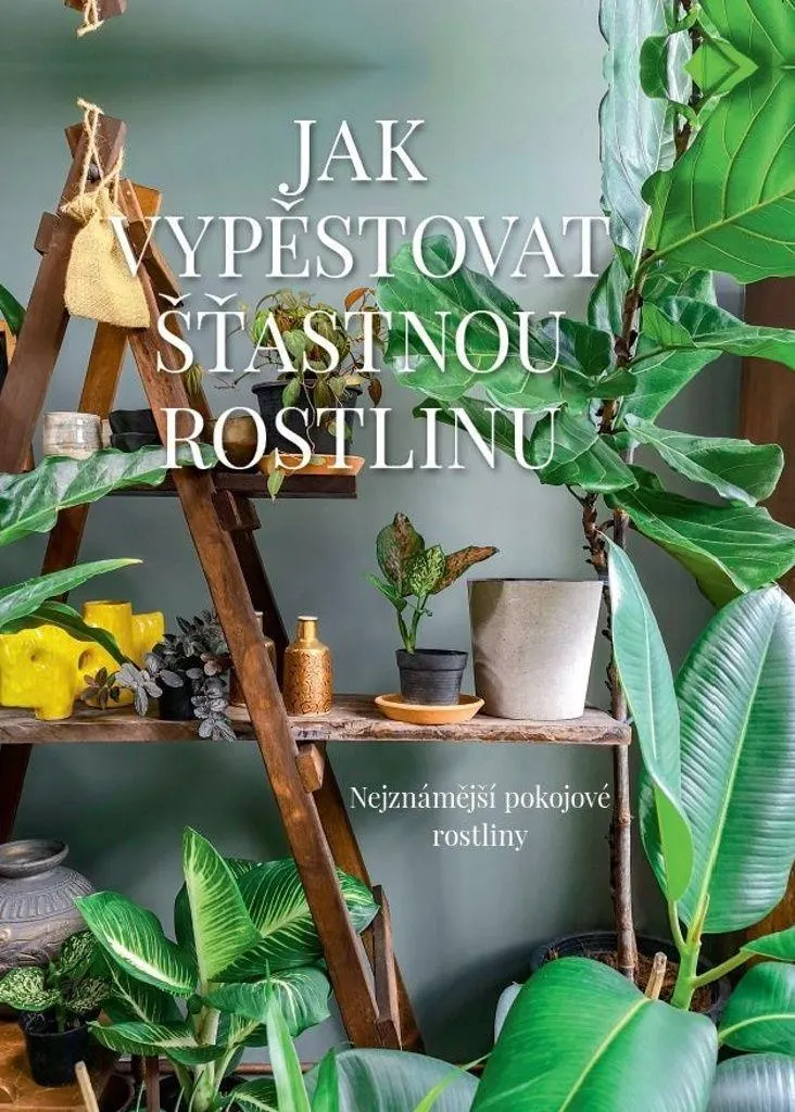 Jak vypěstovat šťastnou rostlinu - Nejznámější pokojové rostliny