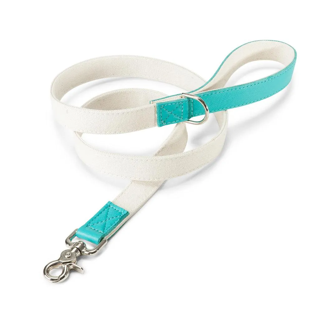 Leather Canvas Lead in Natural & Aqua