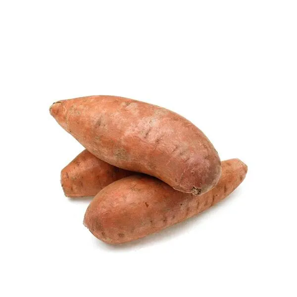 USA Jewell sweet potatoes