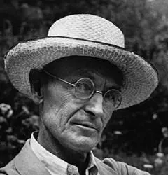Libri di Hermann Hesse