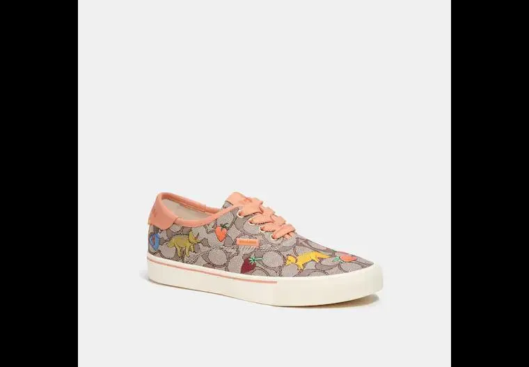 Coach X Observed By Us Skate Lace Up Sneaker In Signature Jacquard