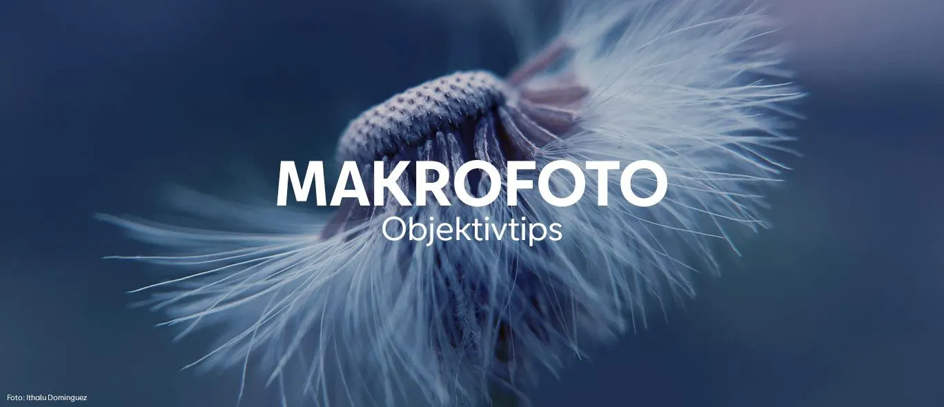 Fujifilm Fujinon XF 60mm f/2.4 Macro