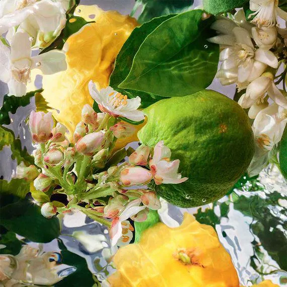 COLOGNE DU PARFUMEUR