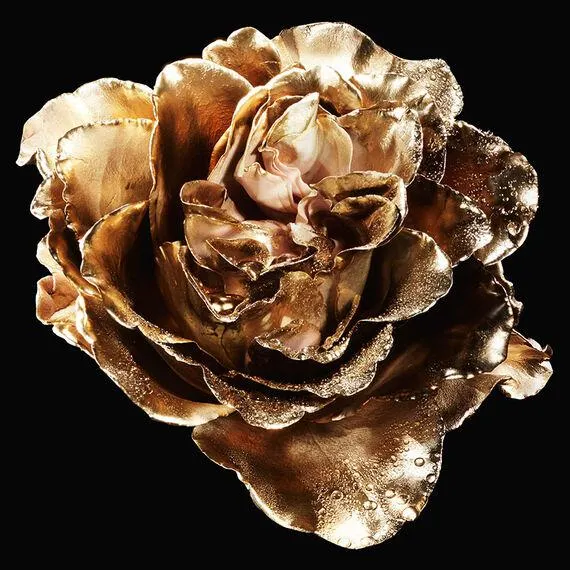 Santal Royal - Brume Cheveux