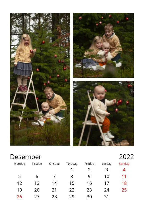 Bergen kalender