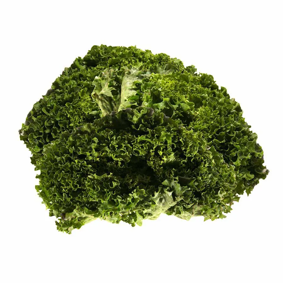 Σαλάτα Lolo Biondo Ελληνική Α΄ Ποιότητα