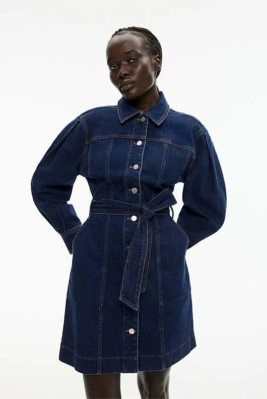 Denim Seam Detail Dress