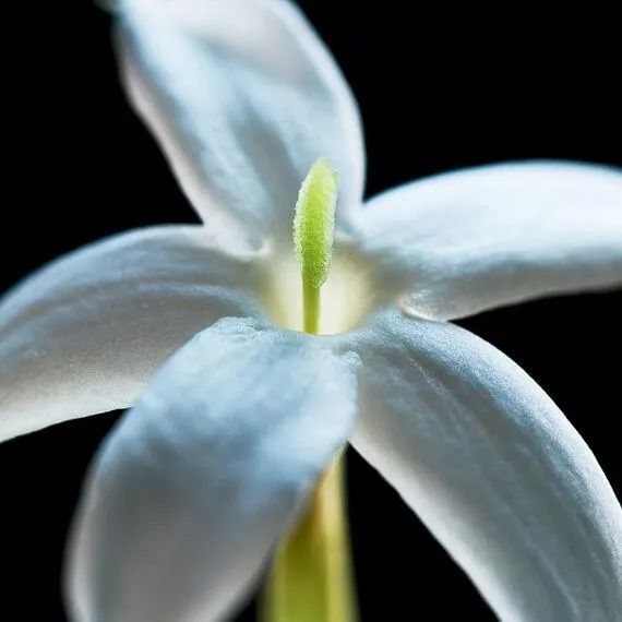 L’infiniment personnel
