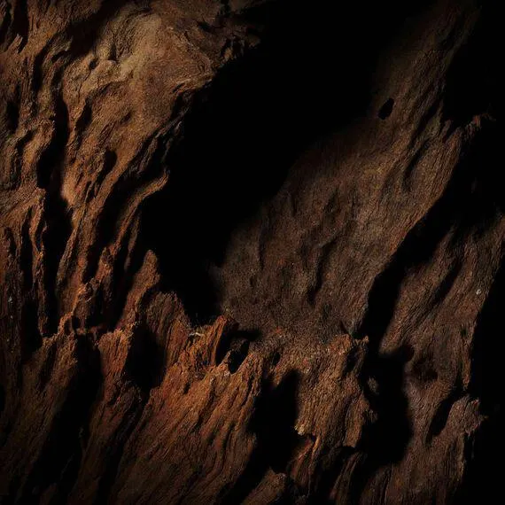 Oud Essentiel - Eau de Parfum