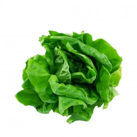 Σαλάτα τύπου Γαλλίας κατηγορία Α