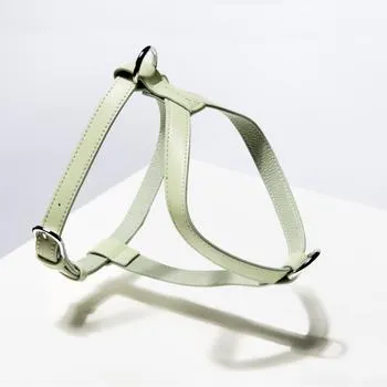 Dog Harness - Sage