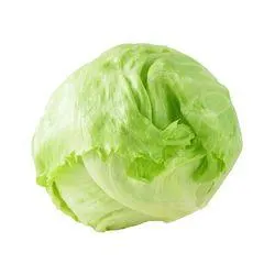 Organic Iceberg Lettuce